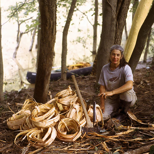 Harvesting Bark